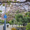 회수사거리 네이버블로그
