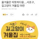 길고양이와 유기동물 보호에 진심인 조은희 의원 이미지