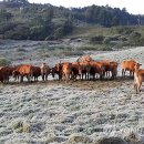 초지서로 이미지