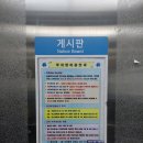 7282 | [노량진수산시장] 푸른바다 대방어, 오군분식 튀김 포장후기