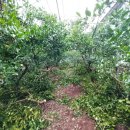 진표농장 이미지