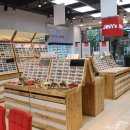 지니스 내동점 이미지