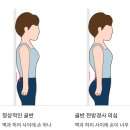 팔머메디스포츠 이미지