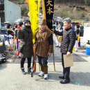 정당새미 이미지