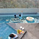 리치빌라 | 자연과 함께 홍천독채펜션 산하연풀빌라 힐링후기