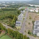 표선면-2 이미지