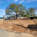 일로로이 이미지