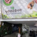 우포2로 | 창녕가볼만한곳 추천 창녕우포곤충나라 아이와방문후기