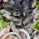 해광민어횟집 이미지