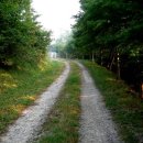 꼬부랑길 이미지