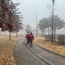 핀 독 이미지