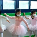 올리브유치원 이미지