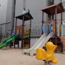 나무와꿈어린이집 이미지