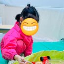 감성나무