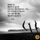 비옥 이미지