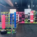 K 뮤직복싱 이미지