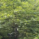 성불사 약수터 | 3. 북한산 등반기, 인생 기운 제대로 받고 온 후기 🐉⛰️