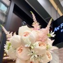 웨딩세렌