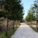 편백숲관광안내소 이미지