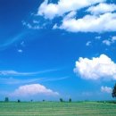 푸르른날 이미지