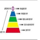 2013 보건행정과정 사례연구 그룹별 보고서 목 7, 금 78 - 8조 Health Care 이미지