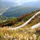 짚라인타는산골마을/보현산댐 입석리 협동 | 🌄 영천 보현산: 하늘과 땅이 맞닿은 별빛 가득한 힐링 여행지 ✨