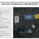 아델리아 이미지