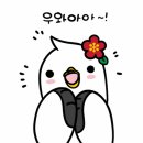 [통영무전동식당]이청정함흥냉면: 아는 사람들만 아는 평일 점심 줄서는 냉면집