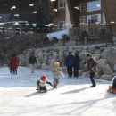 자연.이미지 이미지