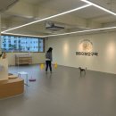 댕린이 보호구역 이미지