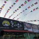 숲과오리 이미지