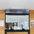차니카 | 앞산케이블카+풍국면 직접 다녀온 찐후기! 주차부터 메뉴까지 완전정리