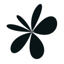 12/6 크리스마스 생화 트리 | [공지] [누즈플라워 12월 원데이클래스] 크리스마스 생화 트리/리스/플라워센터피스 만들기 29,000원부터