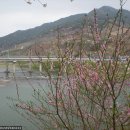 섬진강 벚꽃길과 지리산의 보물창고 화엄사 1탄 이미지