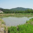 삼지공인중개사사무소 네이버블로그