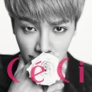 CeCi 카카오 검색결과