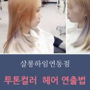 하임 염색 이미지