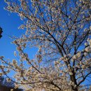 남산그린슈퍼 이미지