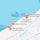 우기 | [발리 여행 꿀팁] 로비나 돌핀 스윔 투어 3월 우기 솔직 후기