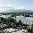 자파리203 이미지