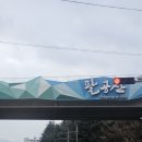 갓바위로 | 한가지 소원을 반드시 들어준다는 대구 팔공산 갓바위 등산 후기