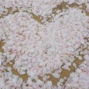 목사내아 이미지