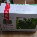 양구아로니아 | 아로니아가격 온가족이 먹는 건강열매