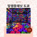 덴탈핑 디지털랩 | 일본 도쿄 실내 관광지 추천 팀랩플래닛 도쿄 오다이바 가는법 볼거리 놀거리