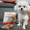 예스몽 | [강아지 간식 리뷰] 기호성 끝판왕! '오늘은 육포 닭가슴살말이고구마' 솔직 후기 🐾
