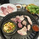 돈다뒷고기