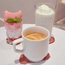 카페천국서충주점 | 서충주카페 디저트 음료가 맛있는 밀키프레소 충주주덕점 후기