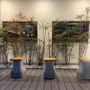 빛과당신 이미지