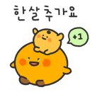 오렌지나무 이미지