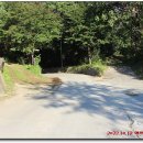 상시동1리 이미지